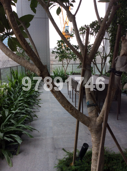 The Boutiq (D9), Apartment #38591302